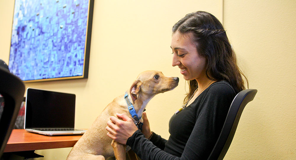 Students and emotional support pets