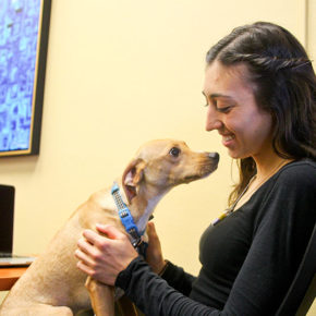 Students and emotional support pets