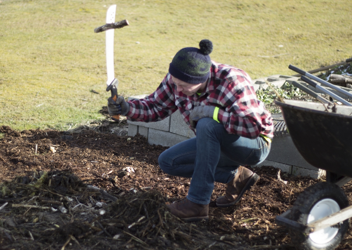 Zachary Matteson digs in the Corban Community Garden   
